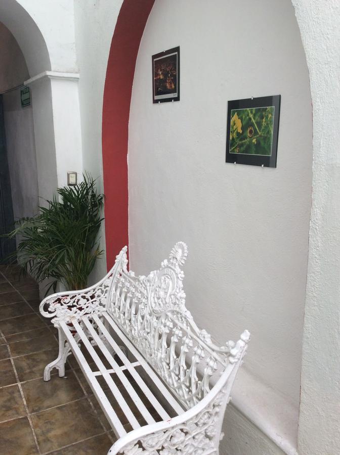 Hotel Casa Rocinante Guanajuato Eksteriør billede